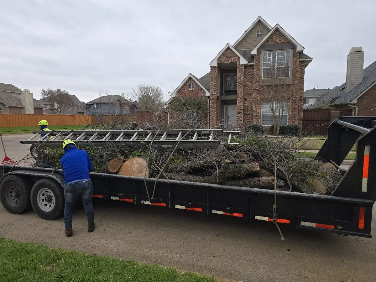 Expert Lot Clearing with proper safety equipment in Prentiss